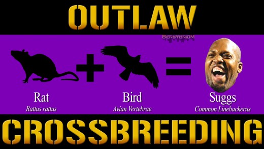 Ravens / Outlaw Crossbreeding