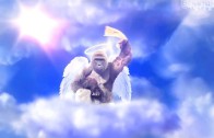 Harambe Is A Pittsburgh Steelers Fan